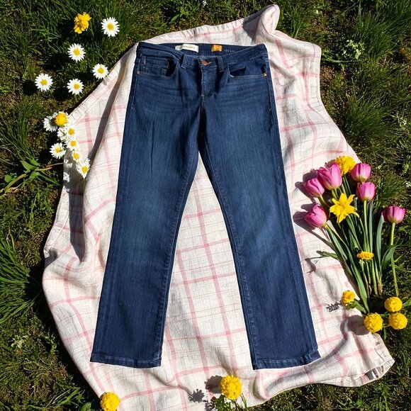 PILCRO & THE LETTERPRESS Stet Fit Jeans Size 28 - Picture 1 of 4